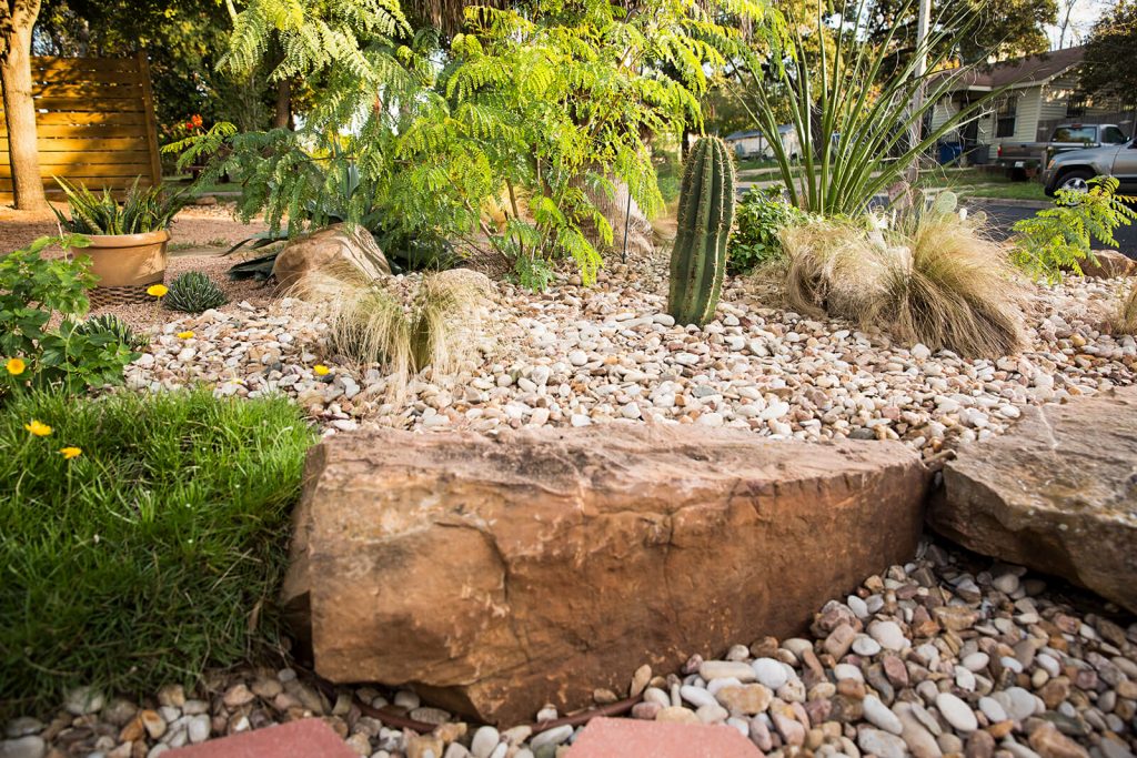 Xeriscape Services in Austin, Tx - Austin Garden Details